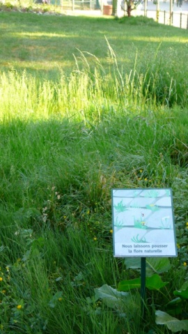 sign about native flora
