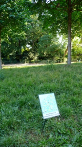 sign about meadows