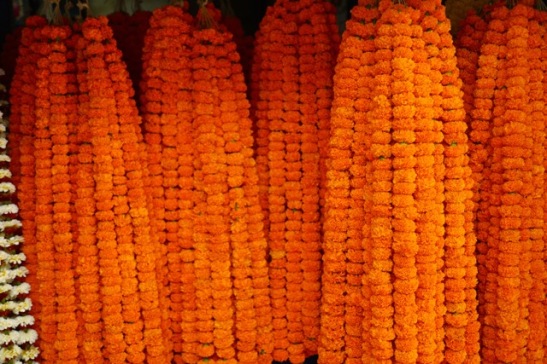 Kolkata flower market 2